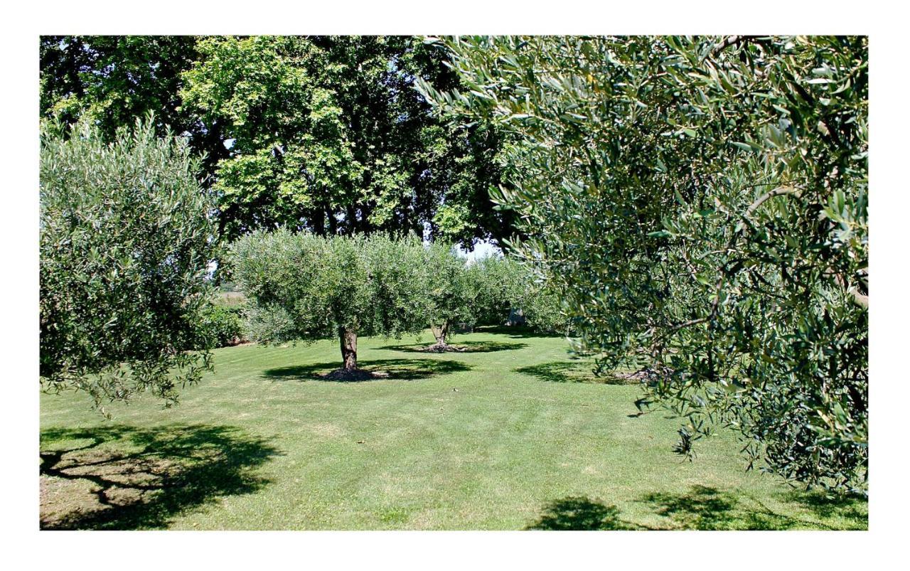 Le Domaine De Laforest Hébergement de vacances