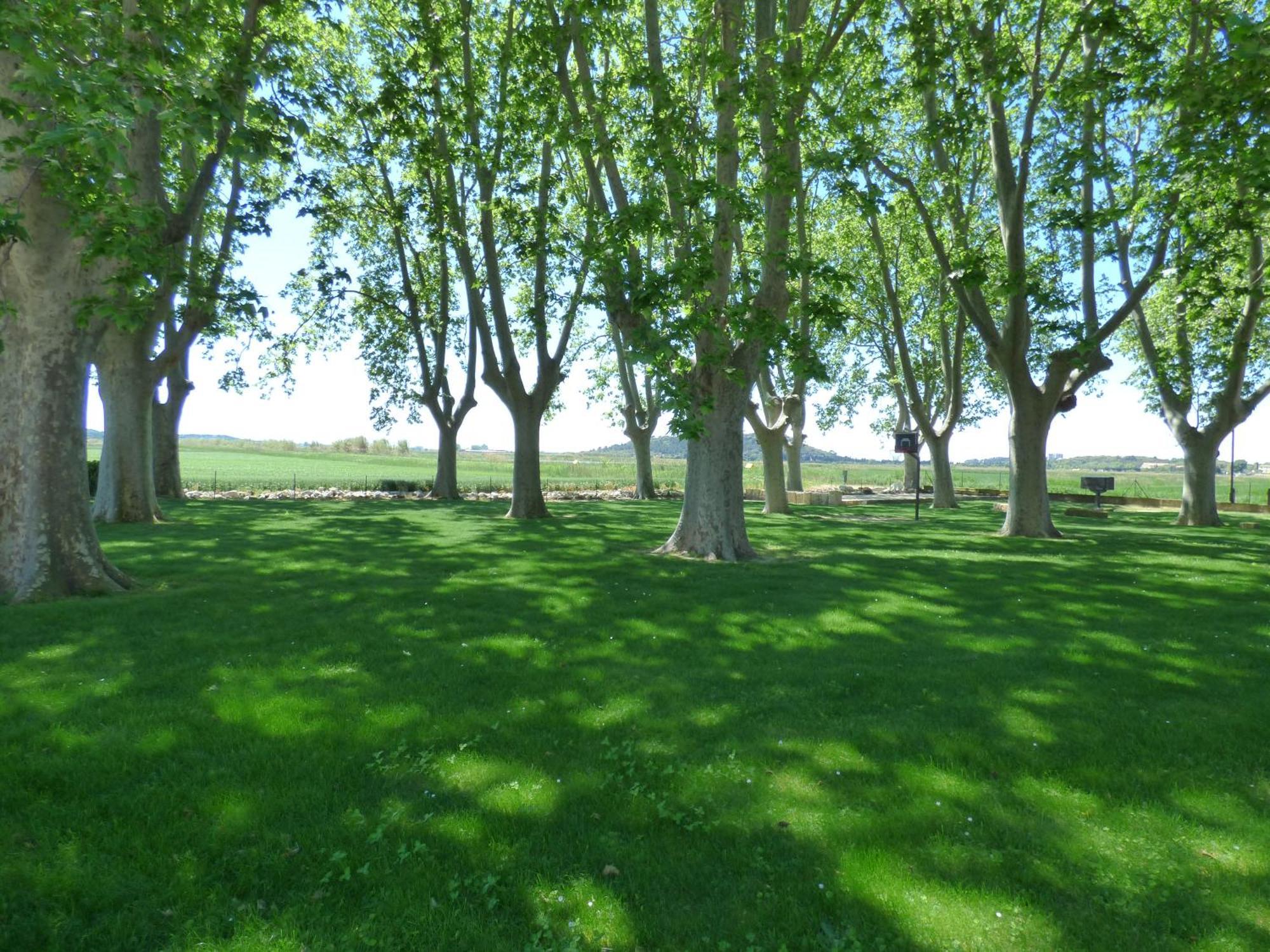 Le Domaine De Laforest * Fontvieille