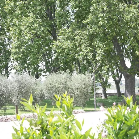 Le Domaine De Laforest Fontvieille Exterior foto