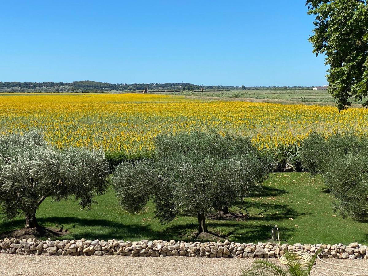 Le Domaine De Laforest Casa de Férias Fontvieille